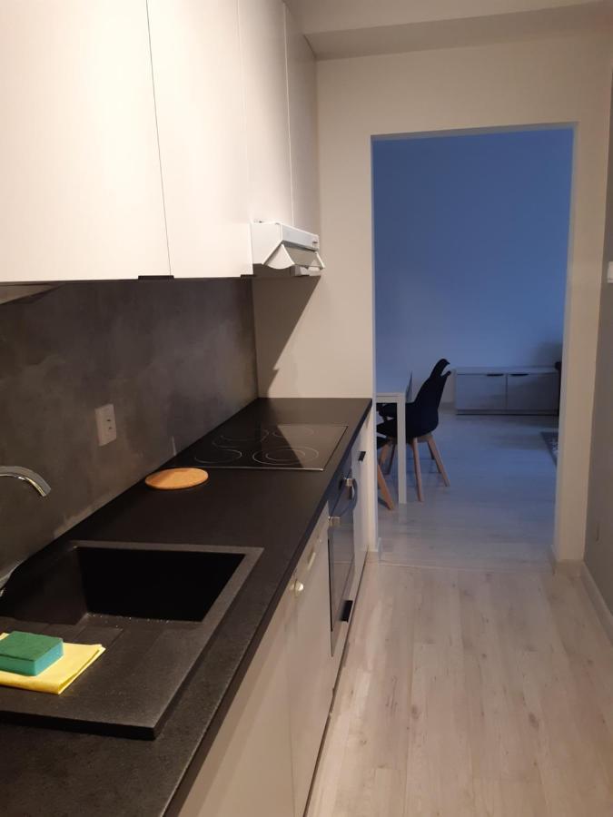 Lewa Lodz Apartman Kültér fotó